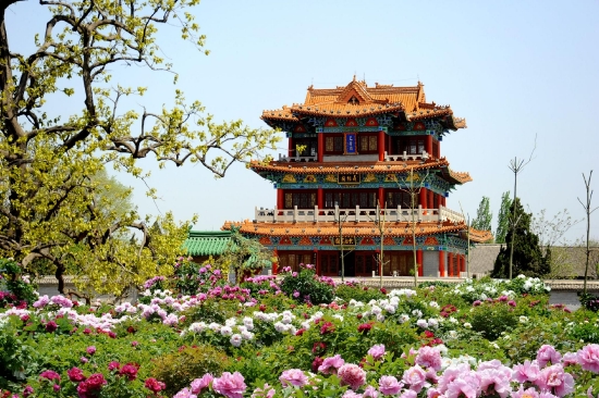 （菏澤曹州牡丹園天香閣。圖片來源：菏澤市攝影家協(xié)會）